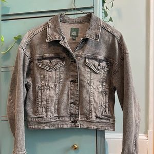 Wild Fable Gray Denim Cropped Trucker Jacket